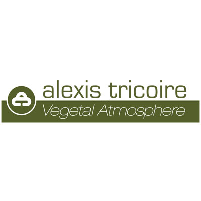 logo_alexistricoire